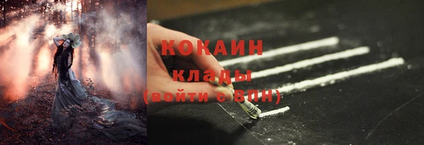 хмурый Богородицк