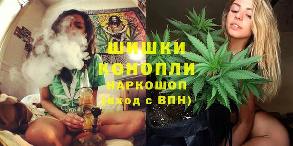 хмурый Богородицк