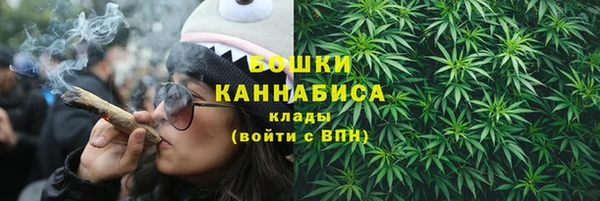 хмурый Богородицк