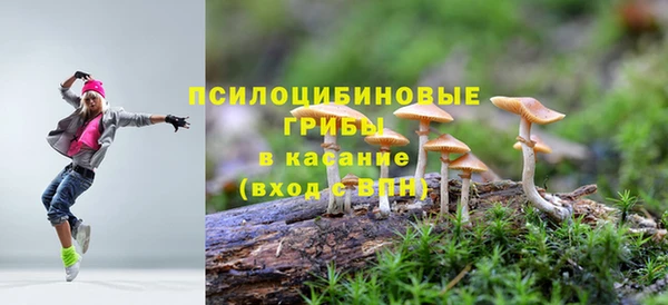амф Богданович