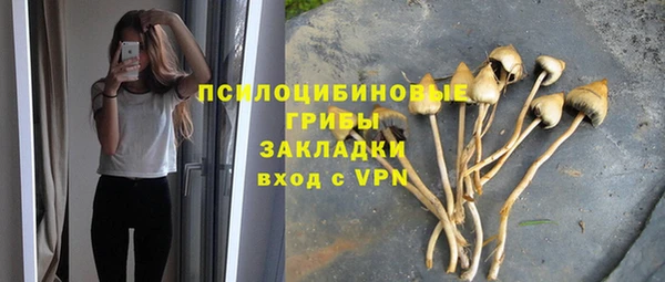 амф Богданович