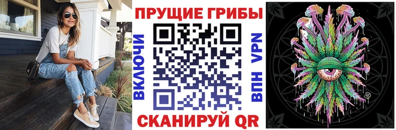 что такое   Пыть-Ях  Галлюциногенные грибы Psilocybe 