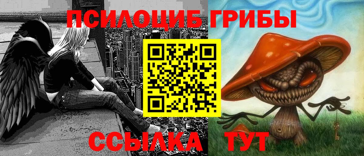 Псилоцибиновые грибы Psilocybe  Вход с VPN  Псилоцибиновые грибы Psilocybe  Пыть-Ях 